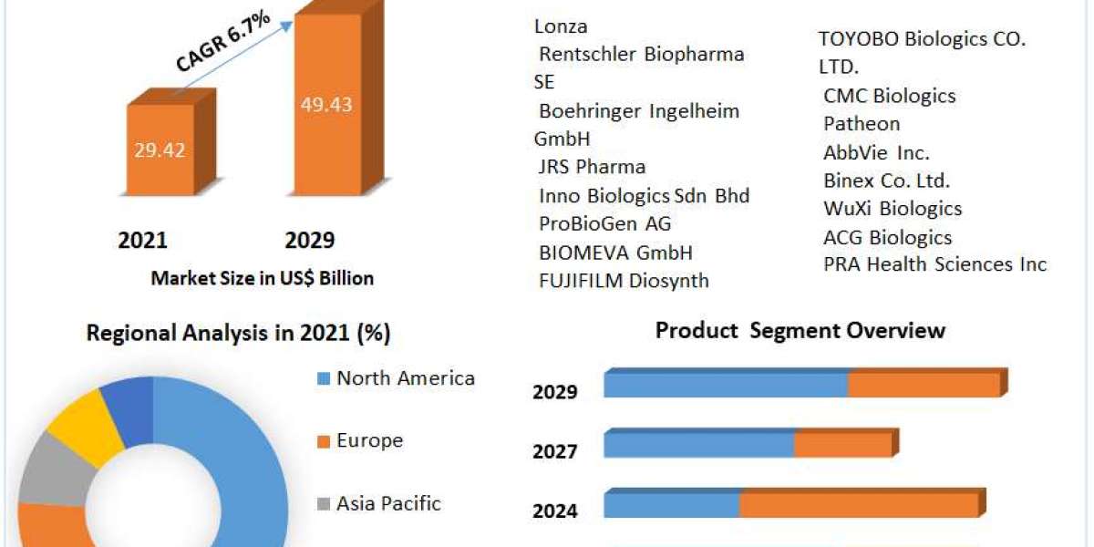 Biopharmaceutical CMO & CRO Market Set to Grow as Companies Rely on External Development and Manufacturing Support b