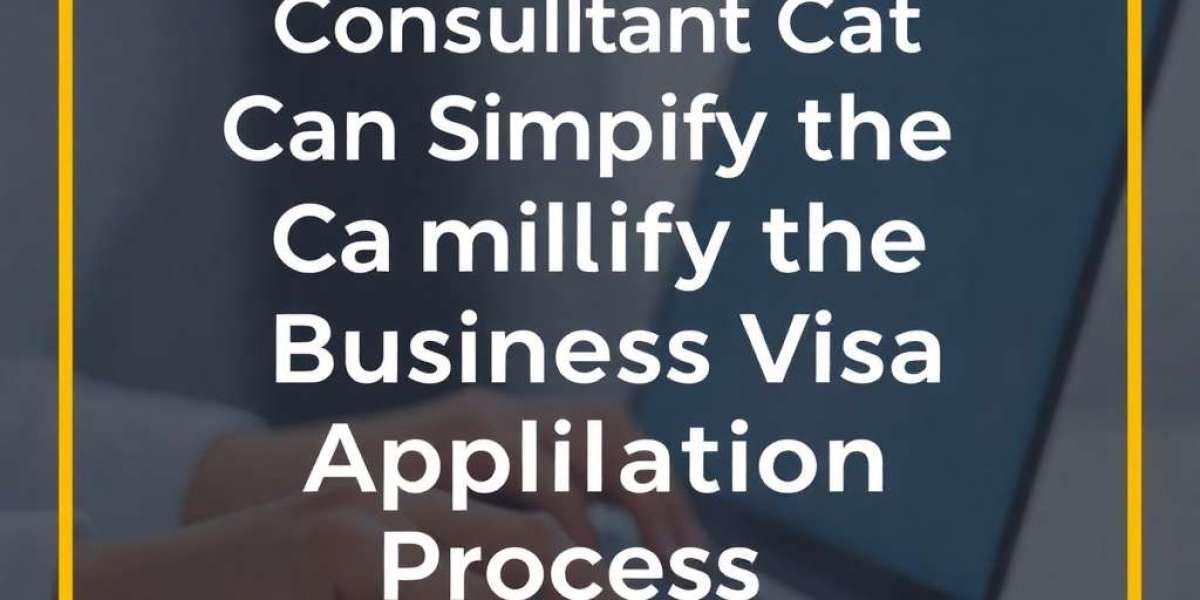 How an Immigration Consultant Can Simplify the Business Visa Application Process