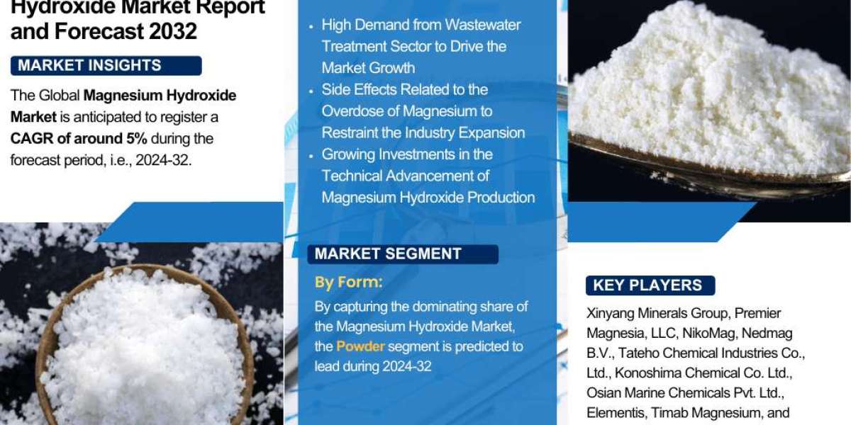 Magnesium Hydroxide Market Analysis: Key Drivers, Challenges & Growth Trends 2024-2032 – The Report Cube