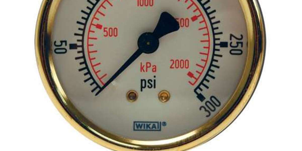 UAE’s Trusted Pressure Gauge Suppliers Enhance Safety & Efficiency