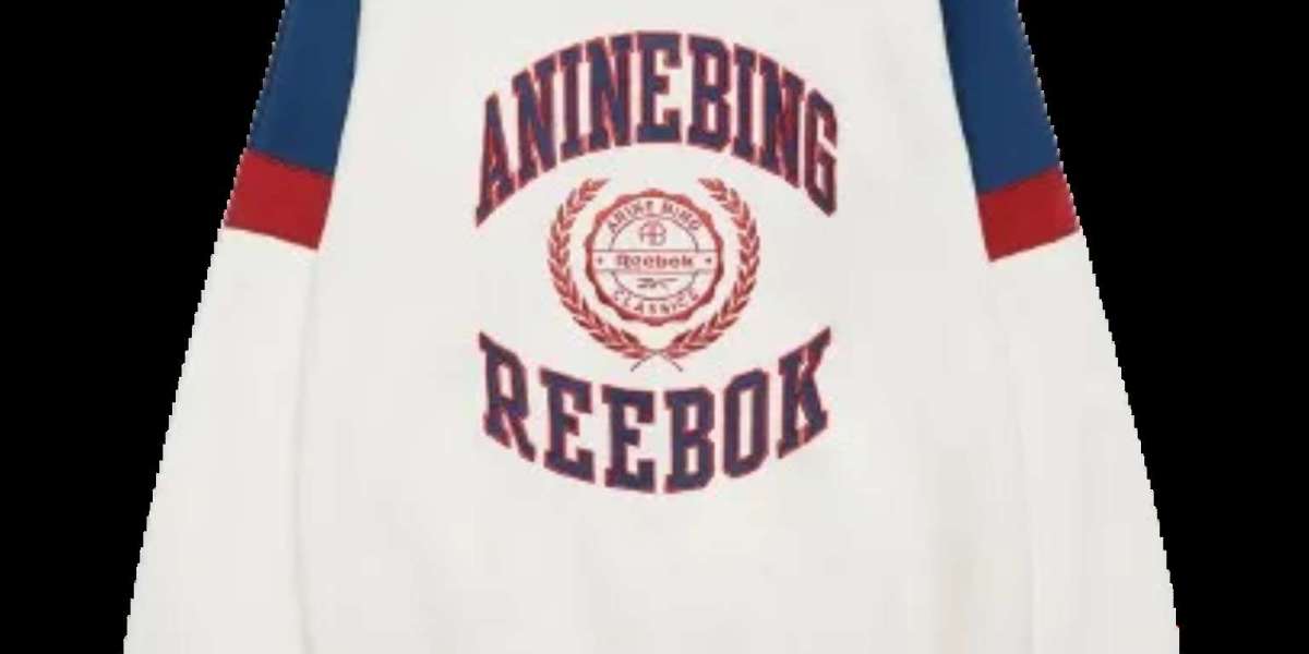 Where to Buy the Iconic Anine Bing Reebok Sweatshirt in the US