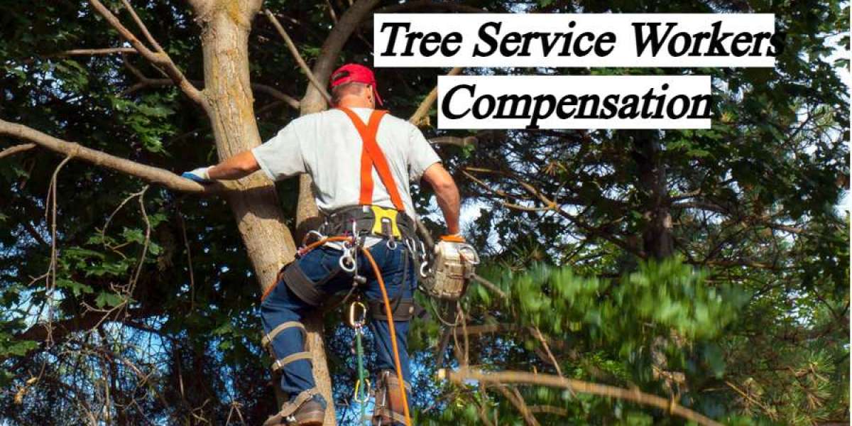 Tree Service Workers Compensation: Essential Coverage for Your Business and Employees