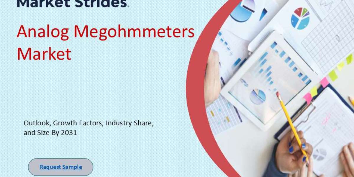 Analog Megohmmeters Market Growth and Opportunities, 2025-2033