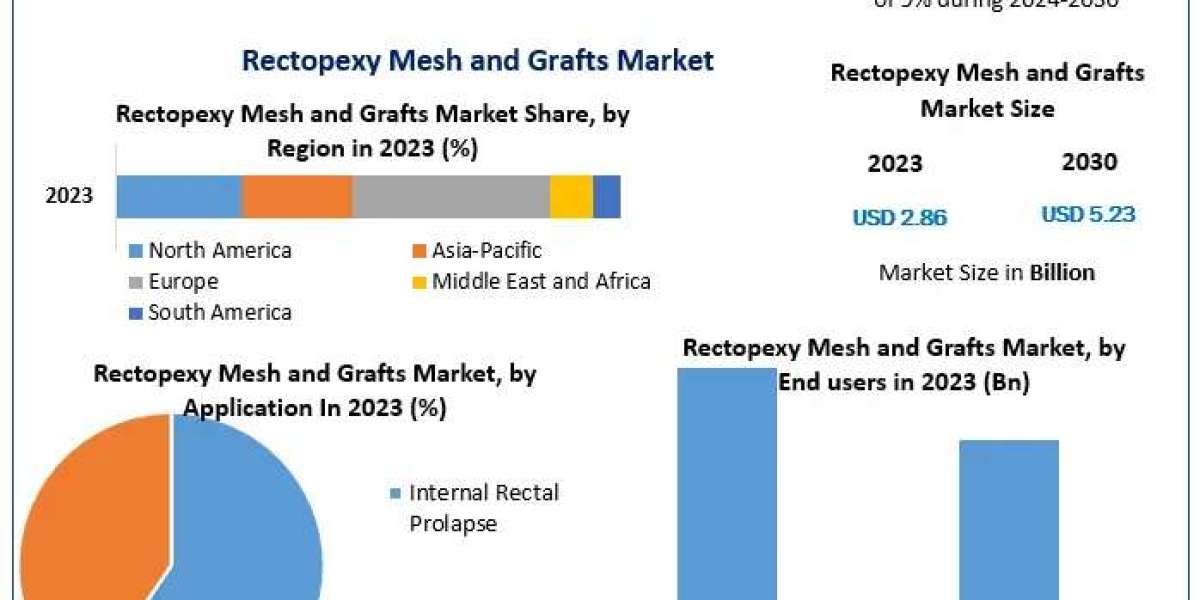 Exploring Growth in the Rectopexy Mesh and Grafts Industry by 2030