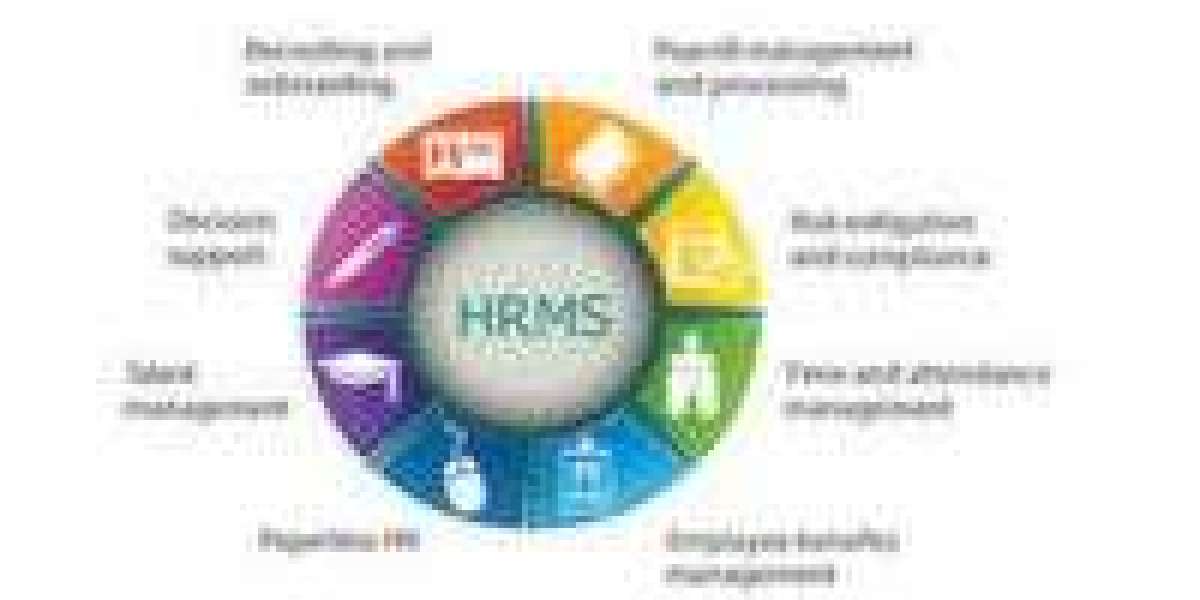 Best HRMS Software Company in Delhi: Why Ledgers24 Stands Out