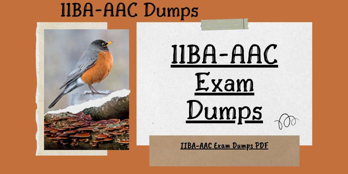 Why Choose IIBA-AAC Exam Dumps PDF for Preparation?