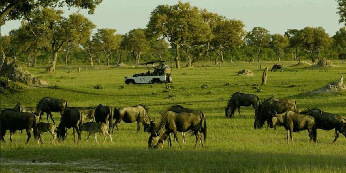 Zimbabwe Tourist Attractions You Cant Miss