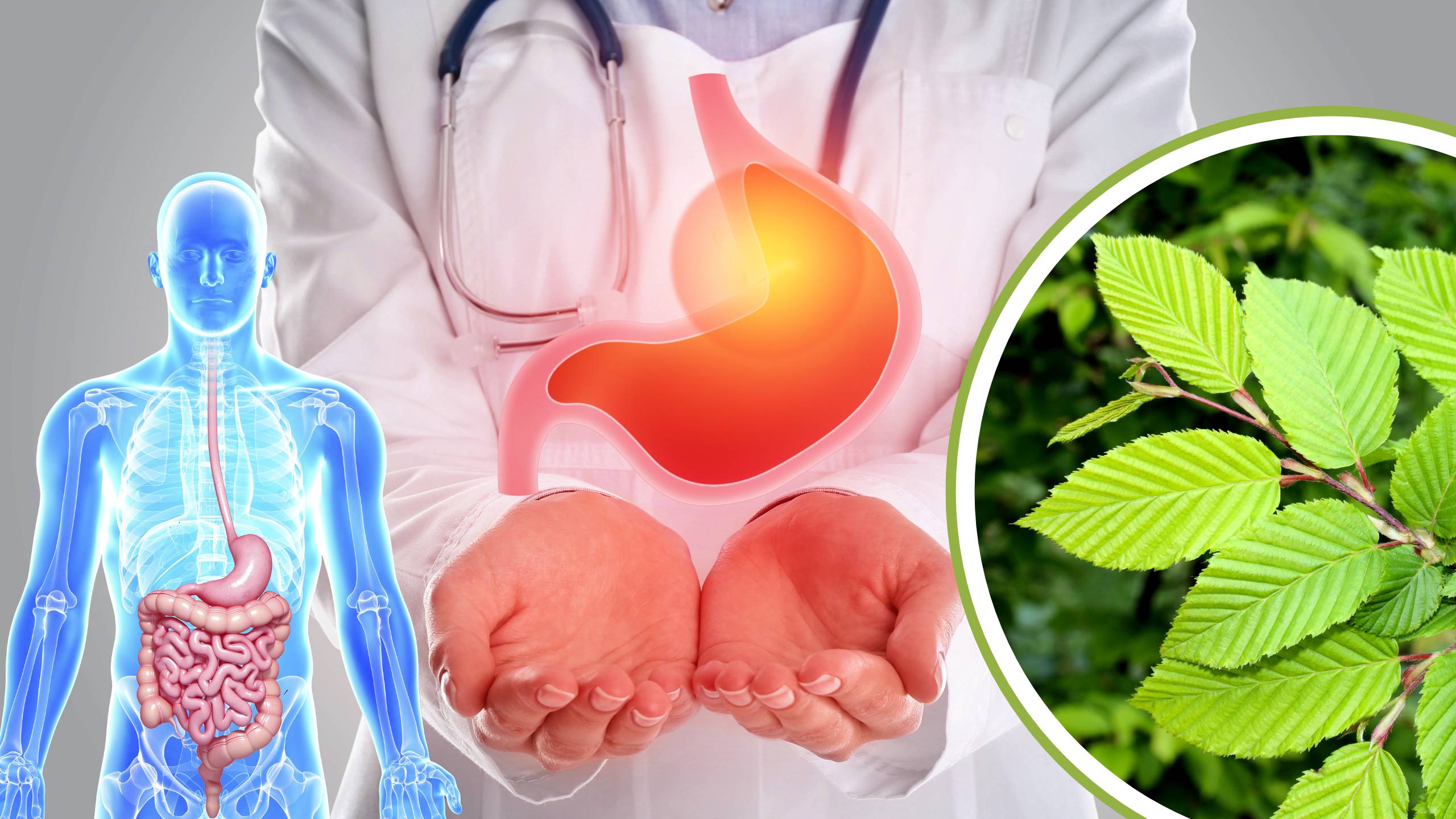 How to Boost Digestive Health Naturally With This Forgotten Herb - Natural Remedies