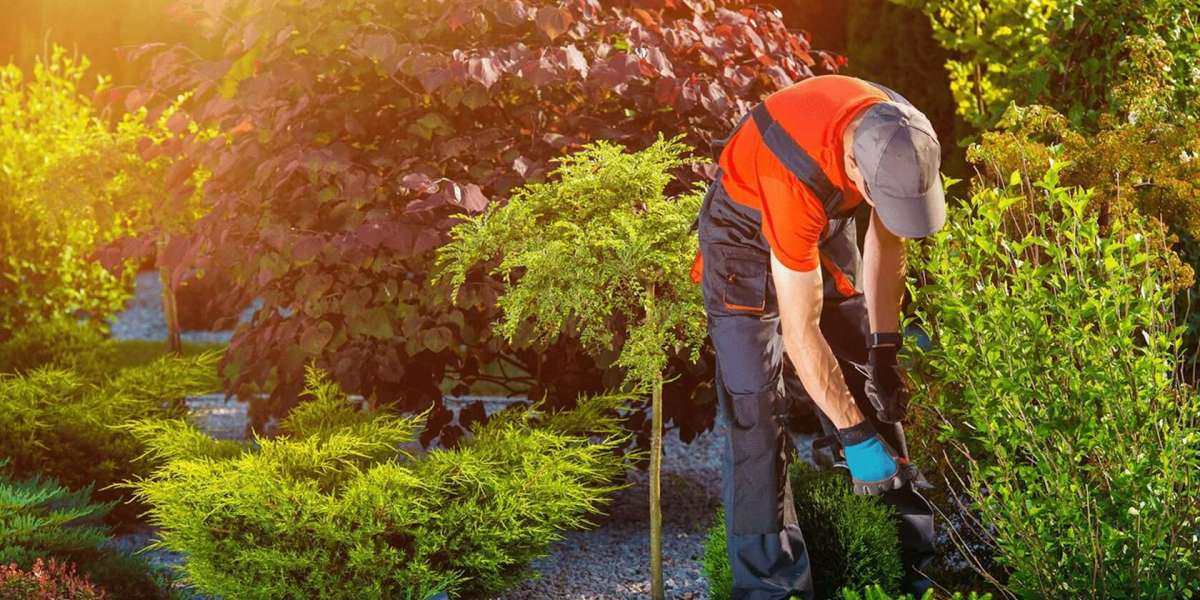 Why Garden Maintenance is More Important Than You Think