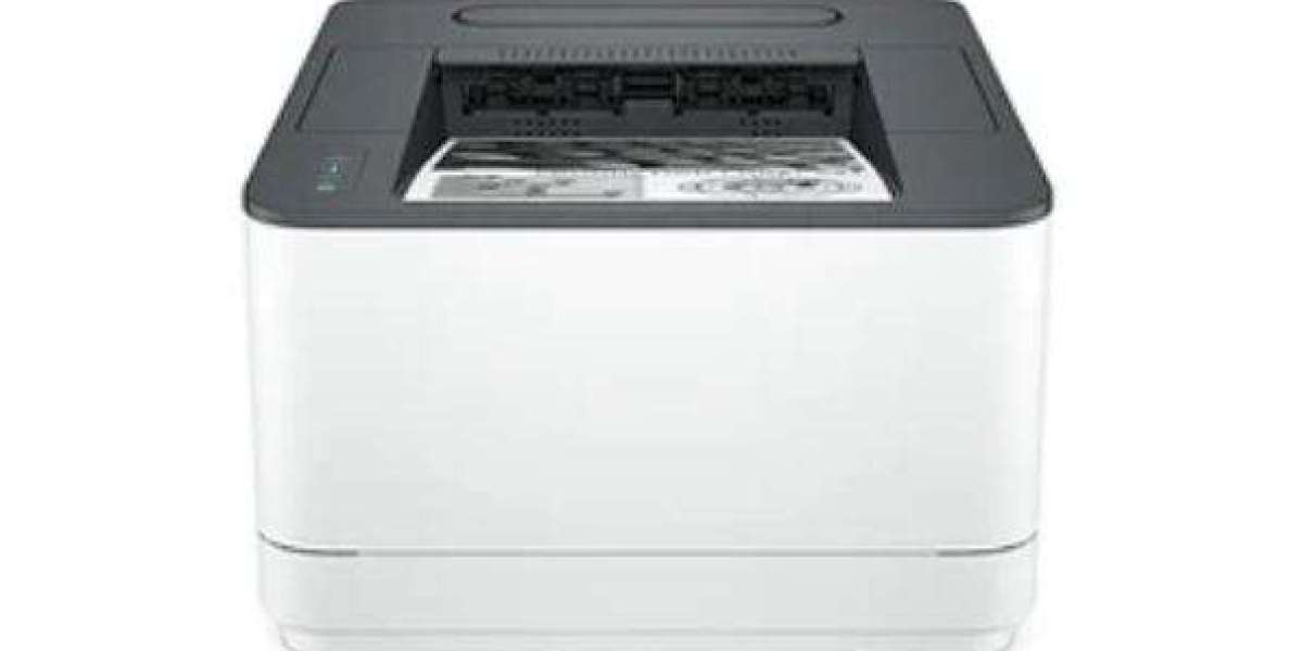 Refurbished 3001dw Wireless Black & White Printer