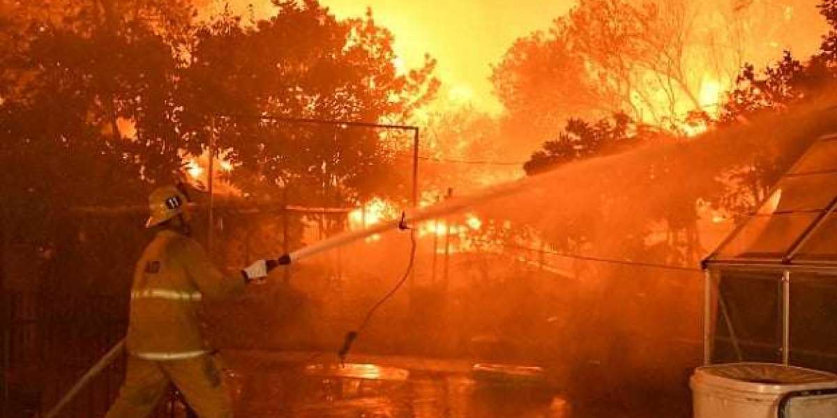 How Effective Were the Firefighting Efforts in Hollywood Hills?