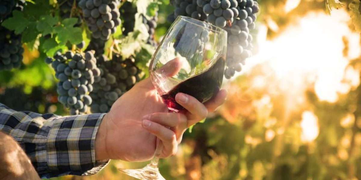 The Best Organic Wine Brands You Should Know