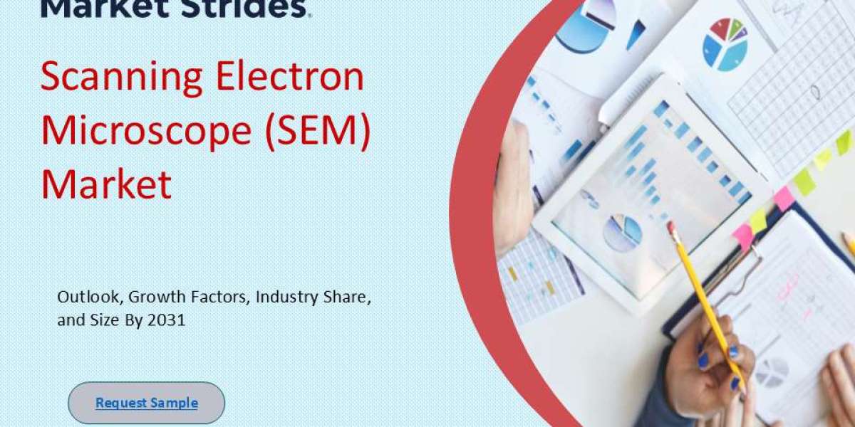 Scanning Electron Microscope (SEM) Market: Insights and Forecast to 2033 | Market Strides