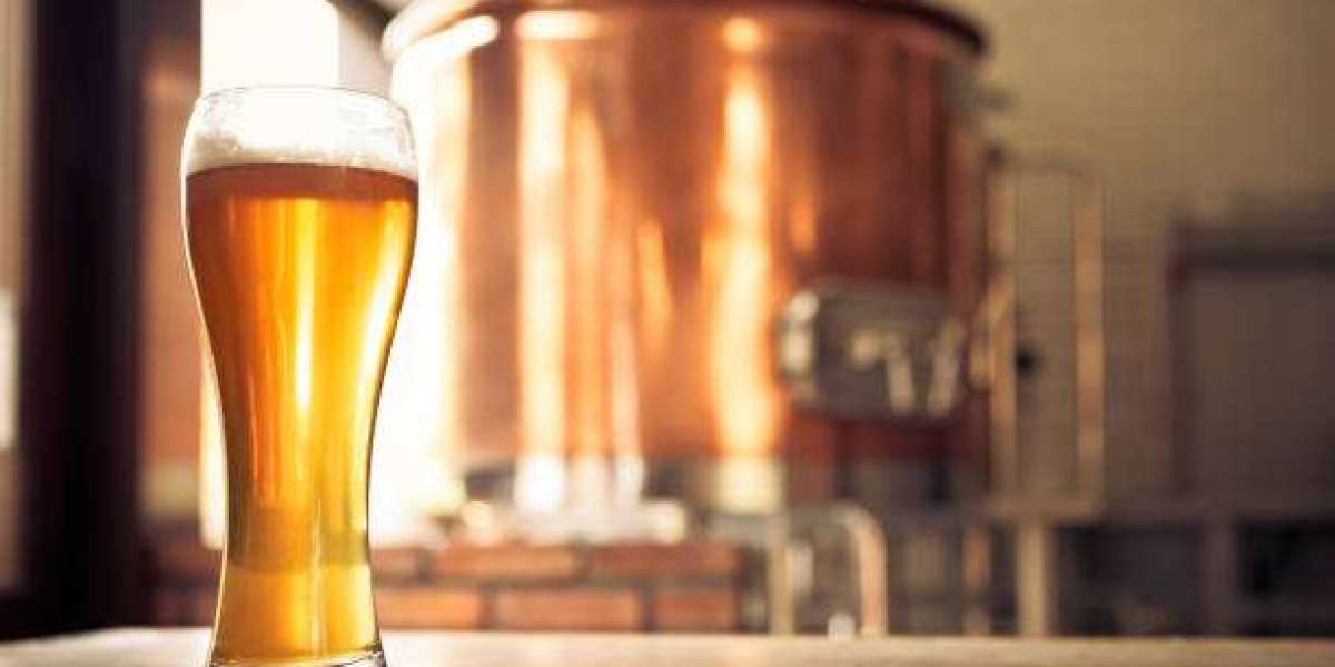 Beer Processing Market Overview: Driving Forces Behind Rapid Growth & Expansion