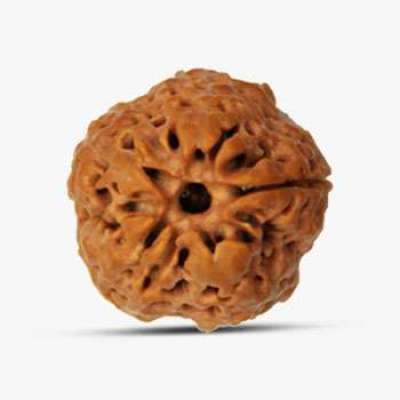 Round 1 Mukhi Nepali Rudraksha Profile Picture