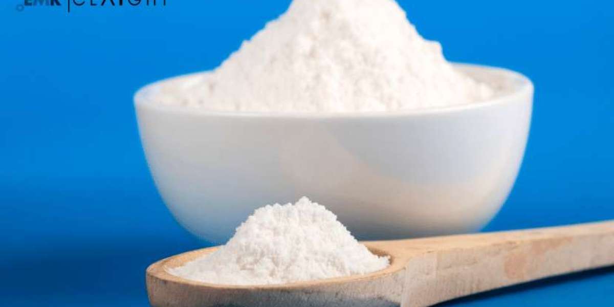 Potassium Bicarbonate Manufacturing Plant Project Report 2025: Comprehensive Guide