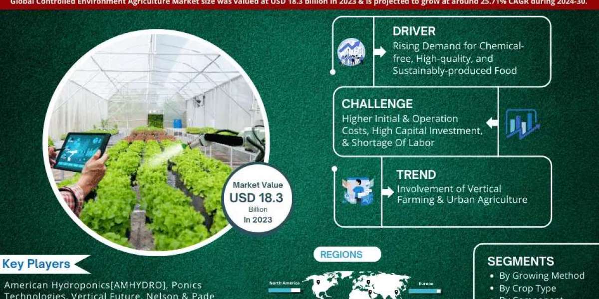 Comprehensive Overview of the Controlled Environment Agriculture Market: Size, Trends, and Growth Forecast for 2024-2030