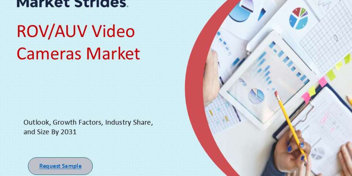 ROV/AUV Video Cameras Market : Insights and Forecast to 2033 | Market Strides