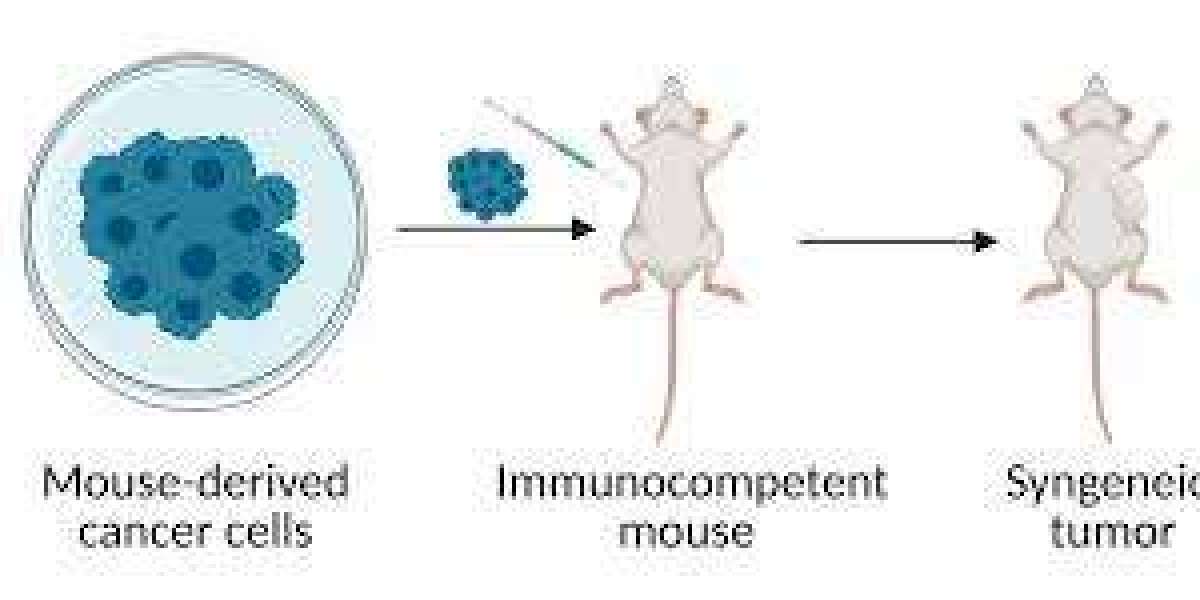 Animal Tumor Models: A Foundation for Cancer Research