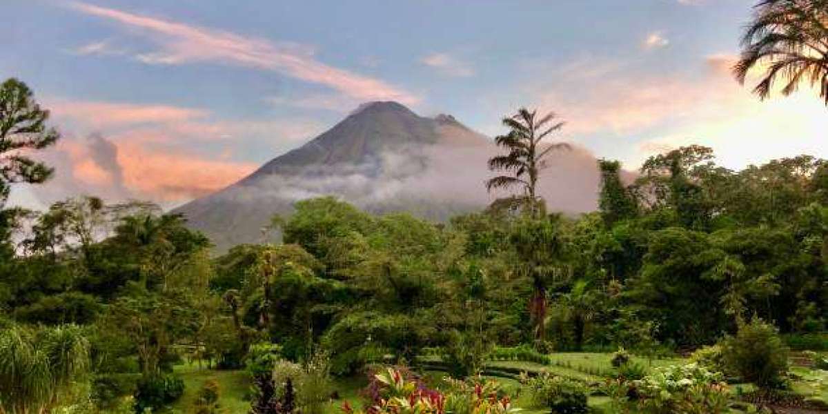 What to Expect from a Professional Costa Rica Tour Guide Company?