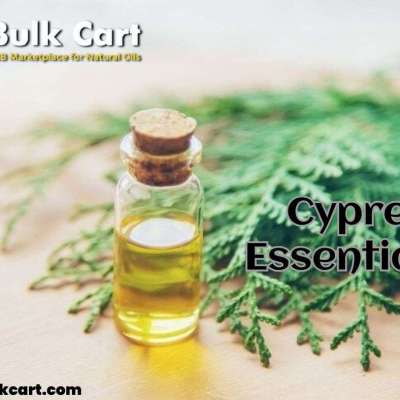 Trusted Supplier of Cypress Essential Oil – The Bulk Cart Profile Picture