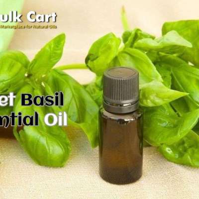 Trusted Supplier of Sweet Basil Essential Oil – The Bulk Cart Profile Picture