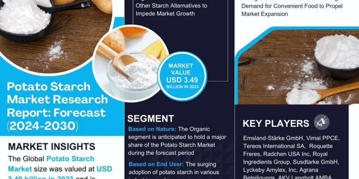 Comprehensive Overview of the Potato Starch Market: Size, Trends, and Growth Forecast for 2024-2030