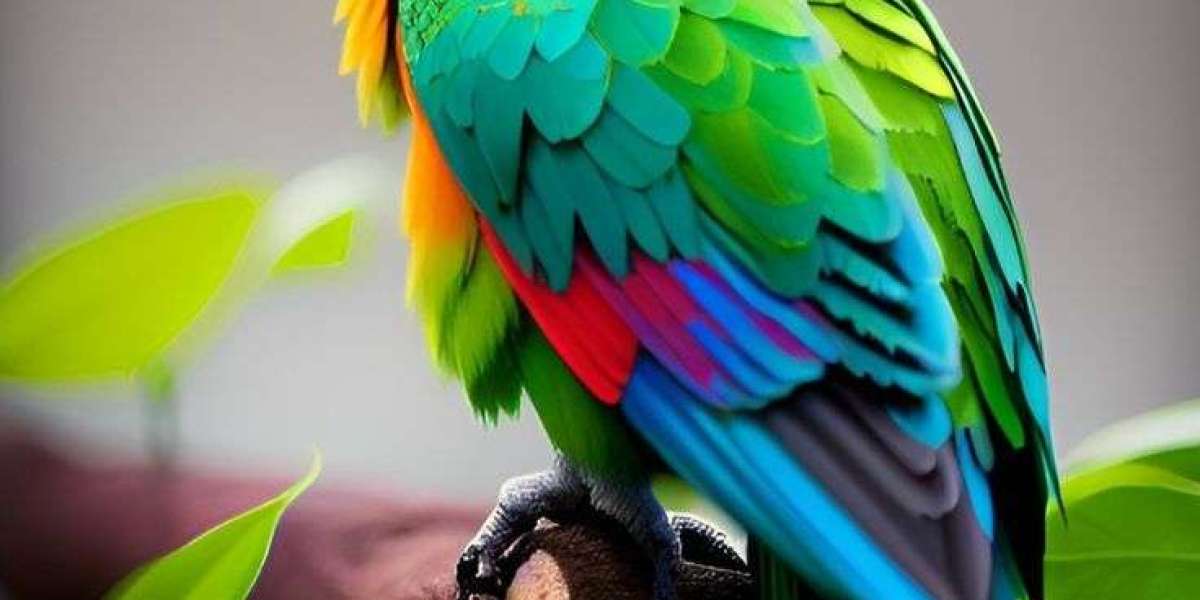 Finding Parrots for Sale Near You: A Guide to Choosing Your Feathered Companion.