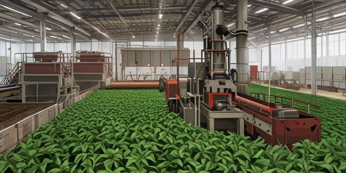 Tobacco Processing Plant Project Report 2025: Setup Details, Capital Investments and Expenses