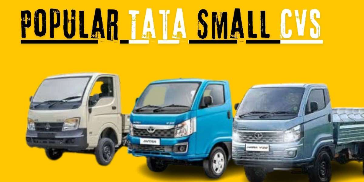 Most Popular Tata Small CVs in India