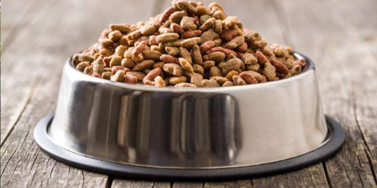 The Australia Pet Food Market: Growth, Trends, and Innovations Driving the Industry Forward