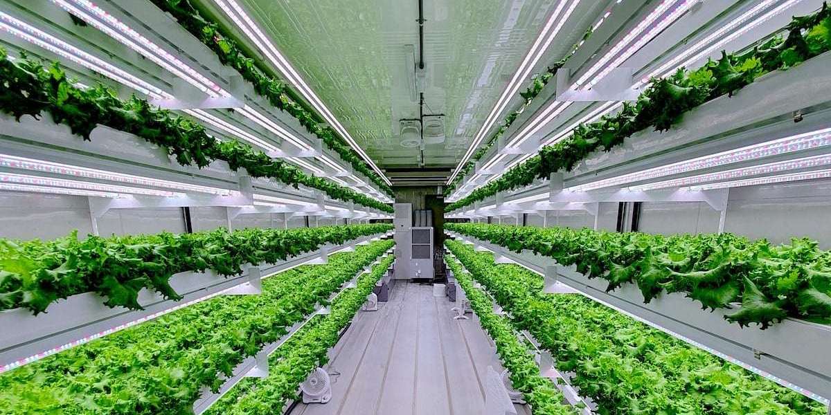 The Surge of Vertical Farming Market Size, Share and Industry Analysis