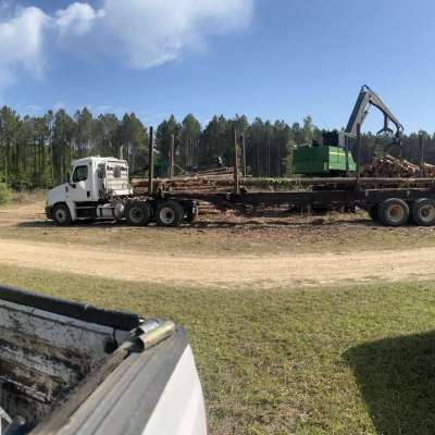 Top Mississippi Tree Removal Service - Affordable Price Profile Picture