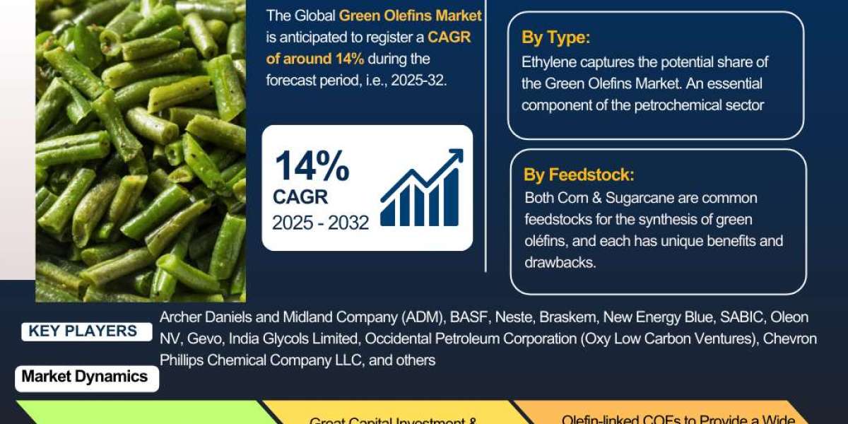 Trends and Forecast of Green Olefins Market 2025-2032: Growth Insights – The Report Cube