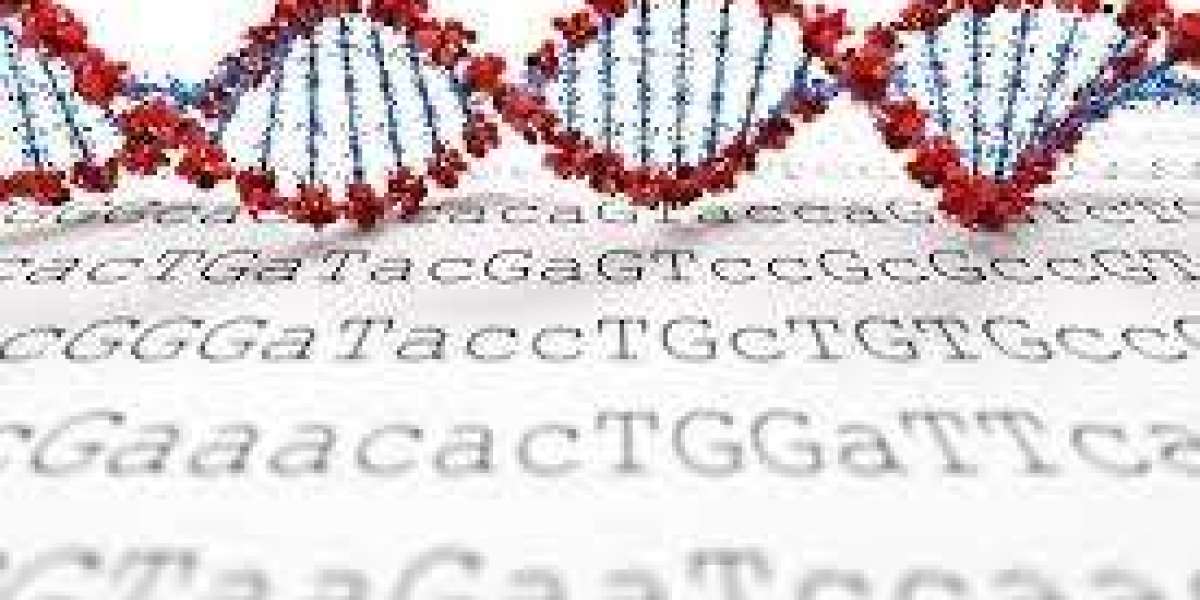 Global Next Generation Sequencing Market Size, Share, Trends, Market Report and Forecast 2025-2034