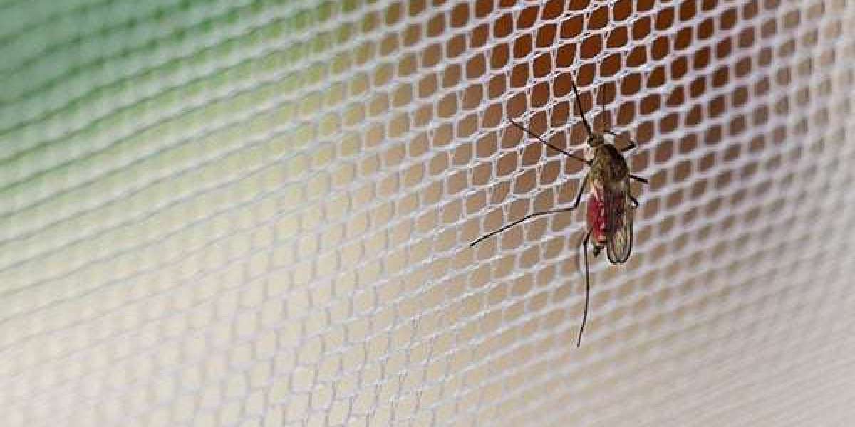 Eco-Friendly Mosquito Nets: A Sustainable Solution for Your Home