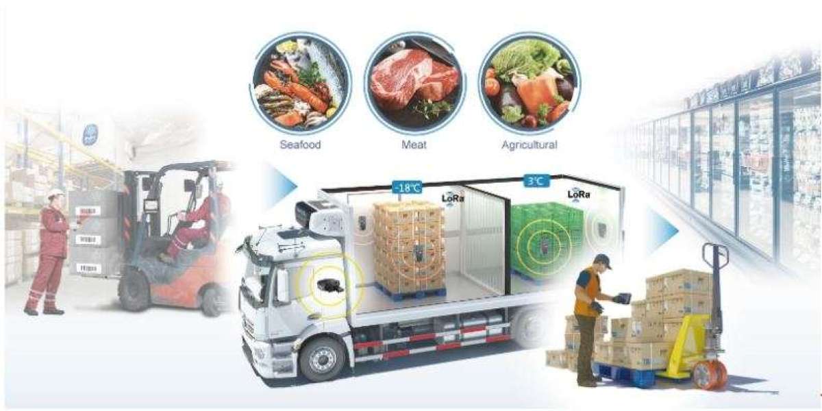 Cold Chain Market Research Report Analysis 2023, Industry Size, Growth Opportunities by 2031