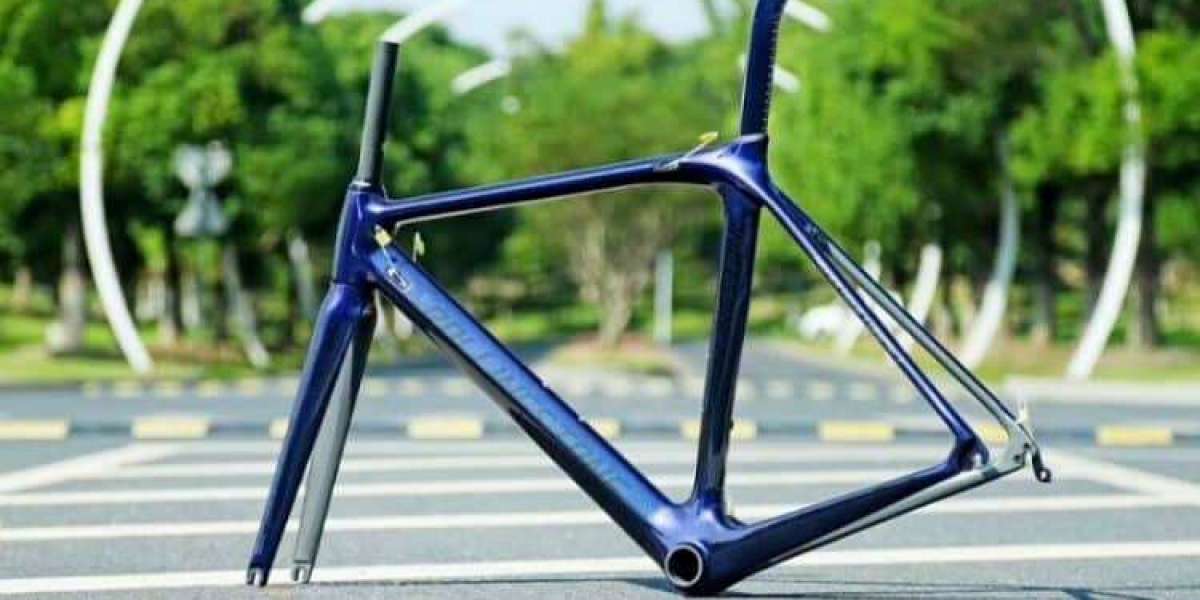 Bicycle Frames Market to Witness Huge Growth by 2024