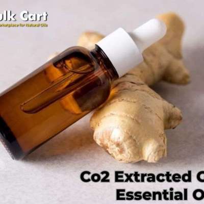 CO2 Extracted Ginger Essential Oil Wholesale by The Bulk Cart Profile Picture