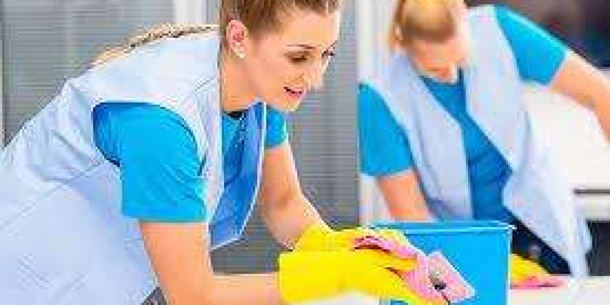 Expert House Cleaning in Lisbon: Affordable, Reliable, and Thorough