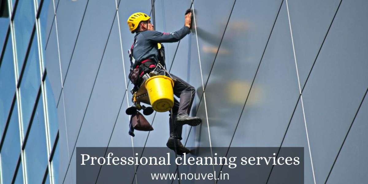 Professional Cleaning Services: Elevating Cleanliness and Hygiene