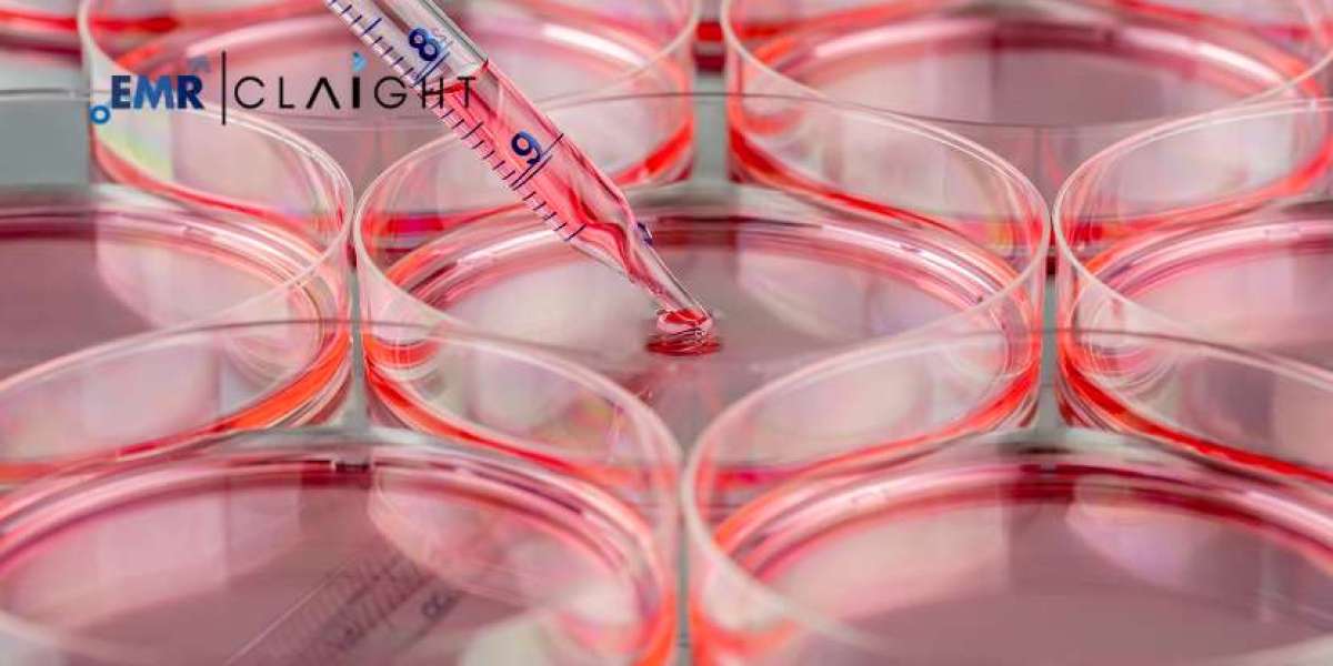 Cell Culture Market Insights | Trends, Growth & Forecast 2034