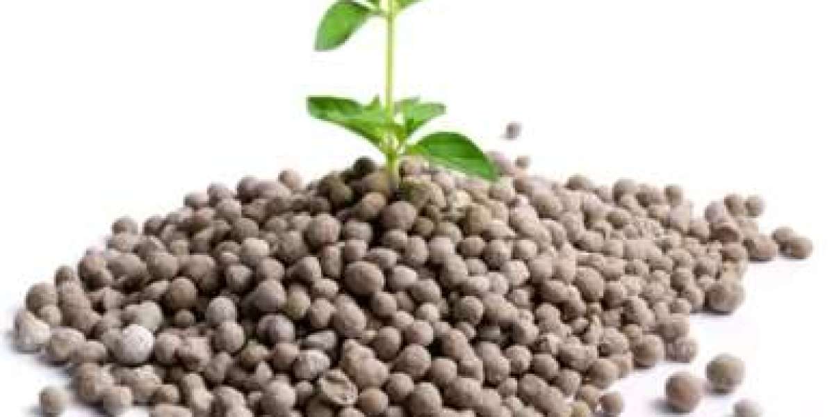 Phosphate Fertilizers Market Growth at 5.75% CAGR to USD 98.80 Billion by 2031: Key Players Overview | KR