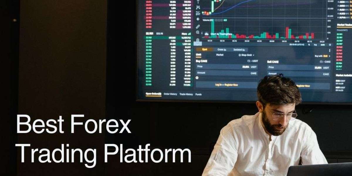 How to Choose the Best Forex Trading Platform for Your Success