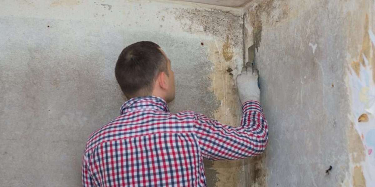 Mold Inspection Services Beverly Hills, CA