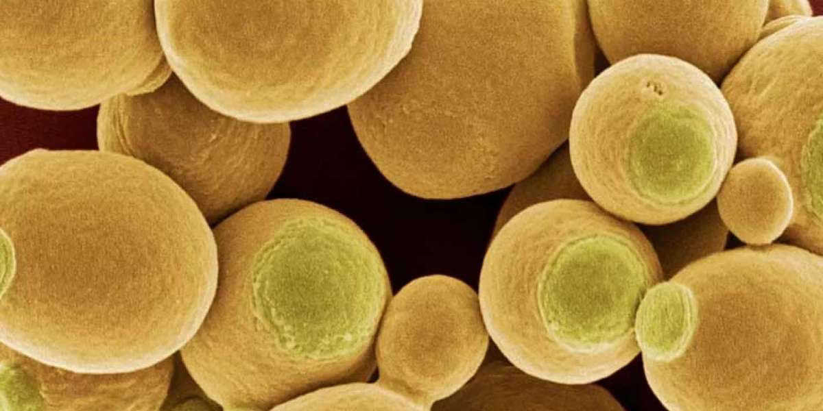 Understanding Luminex Cytokine Panels and Their Role in Multiplex Cytokine Analysis <br> <br> 