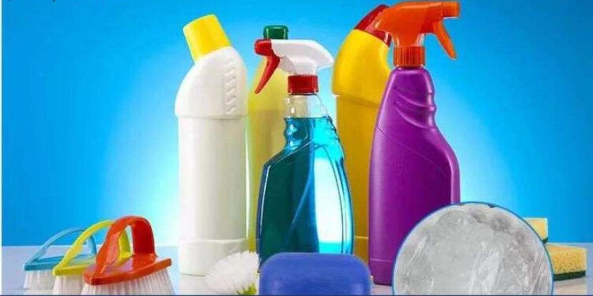 Latin America Surfactants Market Size, Share, Trends and Outlook | 2025-2034