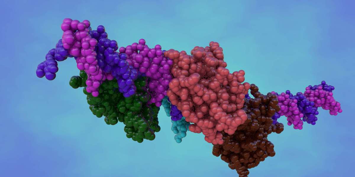 How MST Assays Are Transforming Molecular Interaction Studies