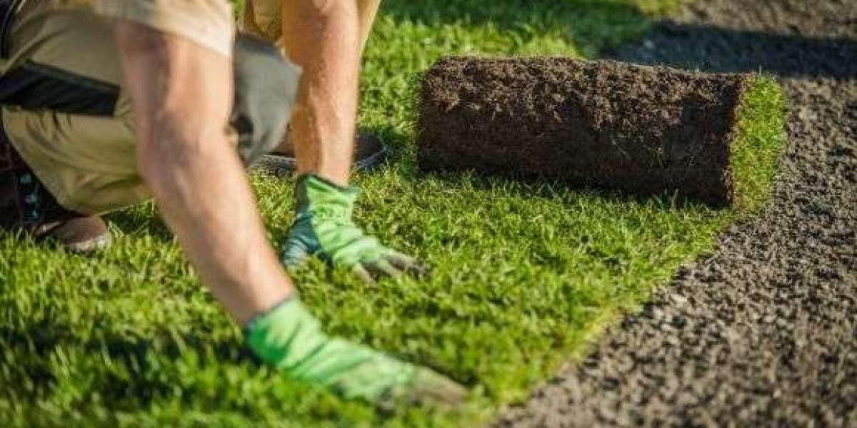 How to Maintain Your Hardscaping in Ipswich