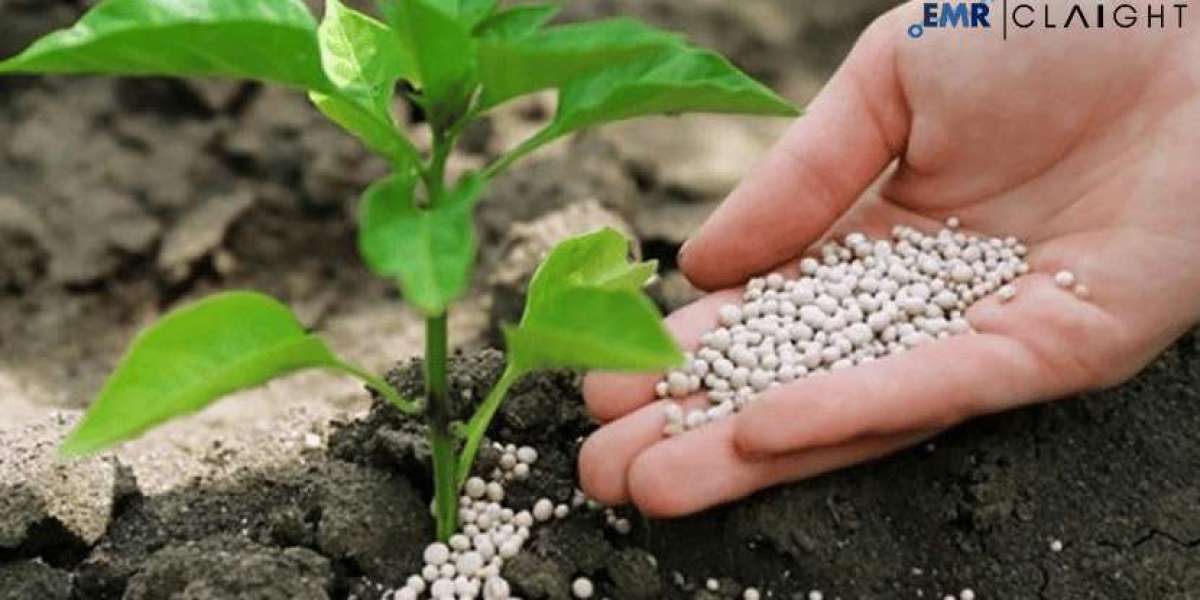 Agricultural Micronutrients Market Size, Share, Trends & Industry Growth | 2034